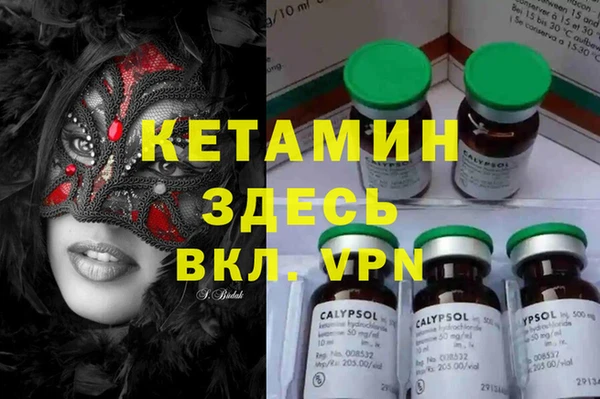 твердый Аркадак