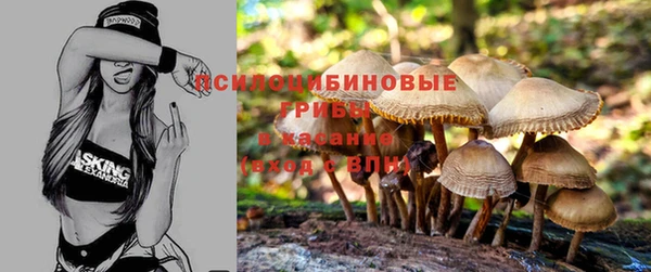 дурь Армянск