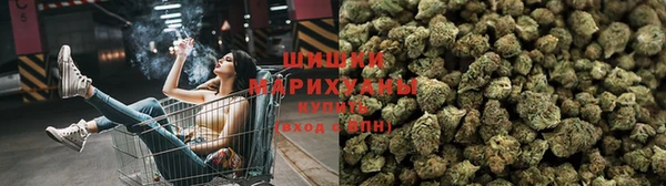 твердый Аркадак