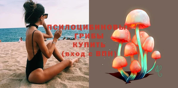 СК Арсеньев