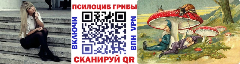 Псилоцибиновые грибы Psilocybe  Купить закладки  Дальнереченск 